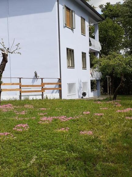 Grappaland Apartment Crespano del Grappa Ngoại thất bức ảnh